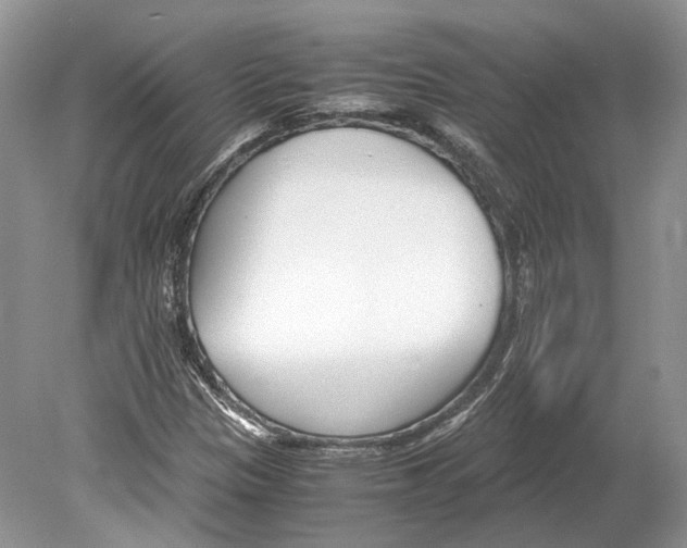 X0000078881305200612111729