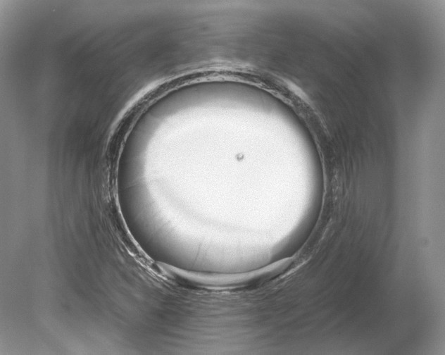 X0000078881310200612111729