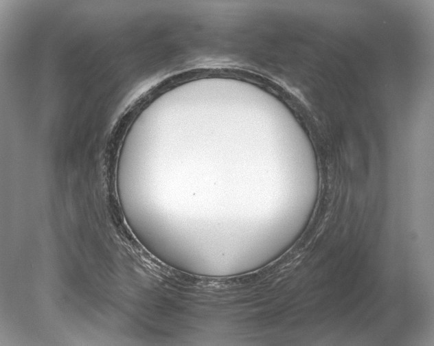 X0000078881311200612111729