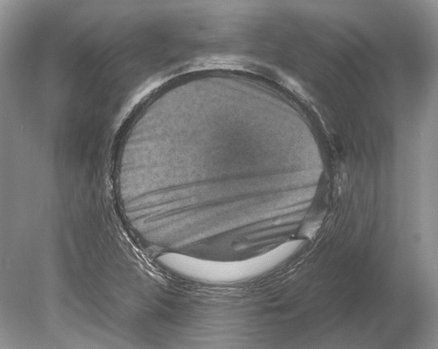 X0000078881312200612111729