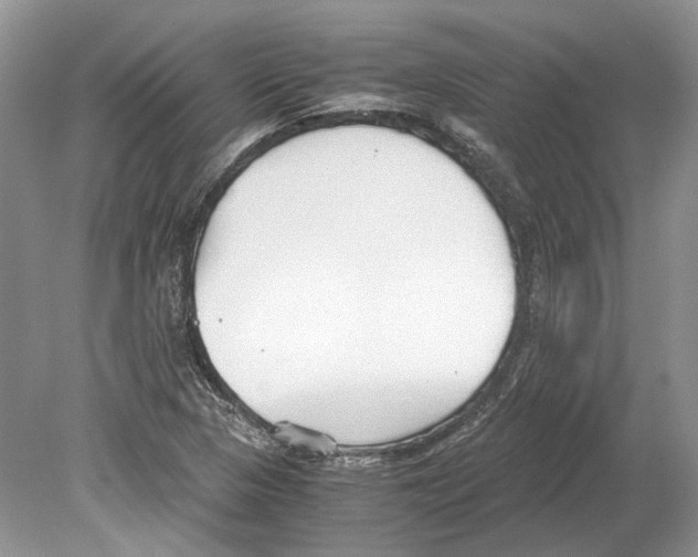 X0000078881313200612111729