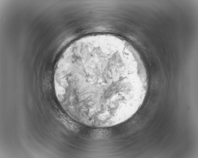 X0000078881314200612111729