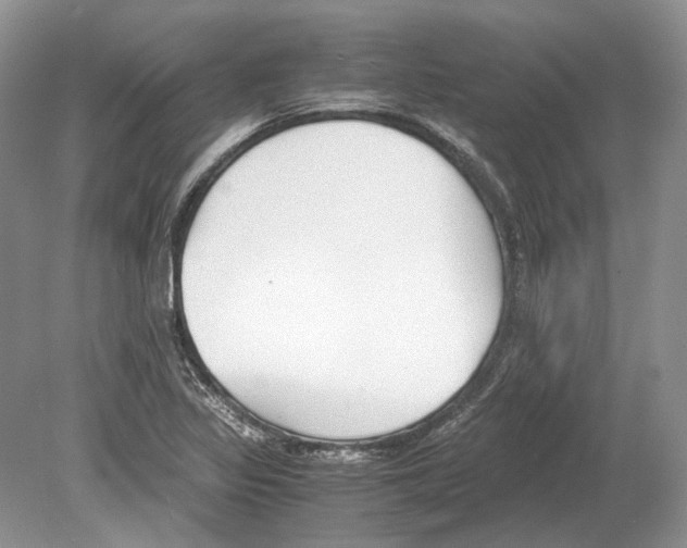 X0000078881317200612111729