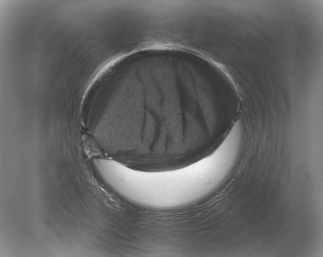 X0000078881319200612111729