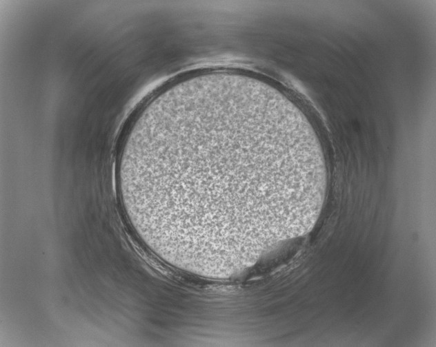 X0000078881320200612111729