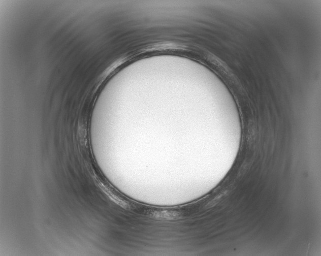 X0000078881321200612111729