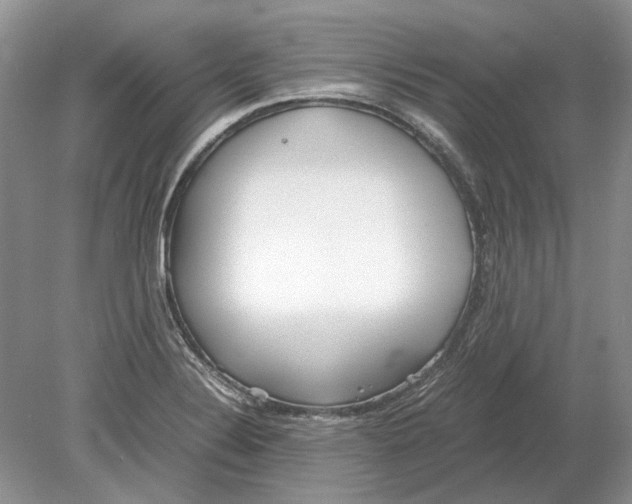 X0000078881324200612111729