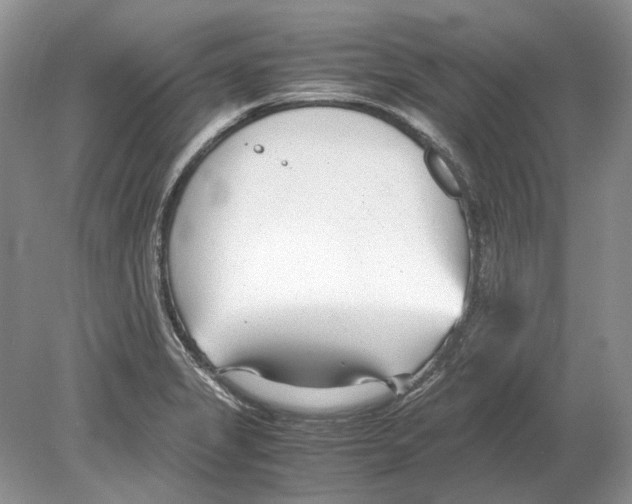 X0000078881325200612111729