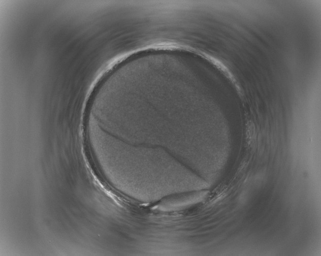 X0000078881327200612111729