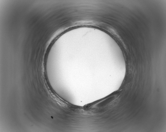 X0000078881328200612111729