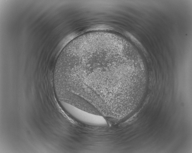 X0000078881329200612111729