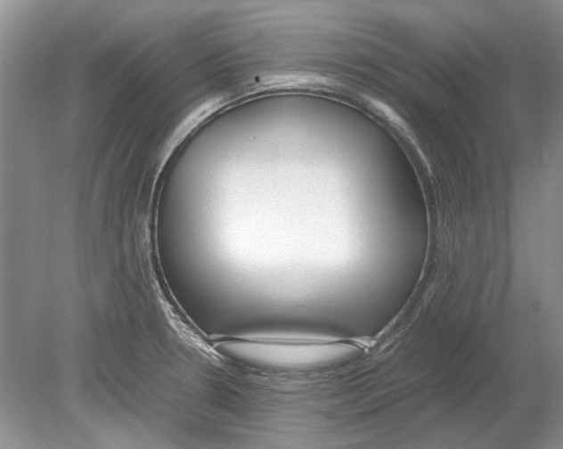 X0000078881330200612111729