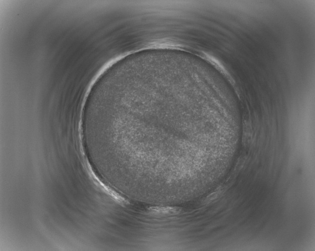 X0000078881331200612111729