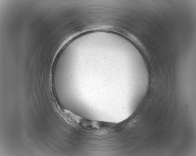 X0000078881332200612111729