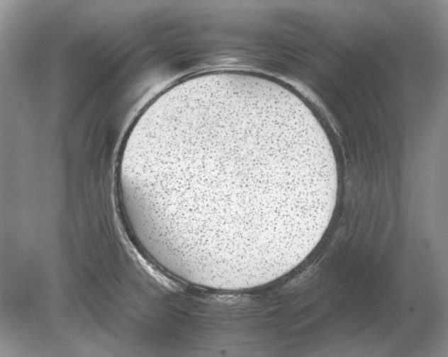 X0000078881333200612111729