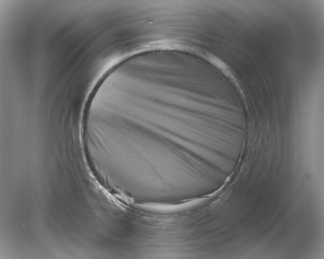 X0000078881334200612111729