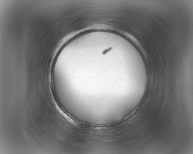 X0000078881335200612111729