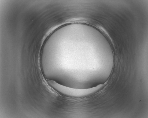 X0000078881336200612111729