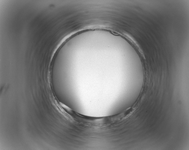 X0000078881340200612111729