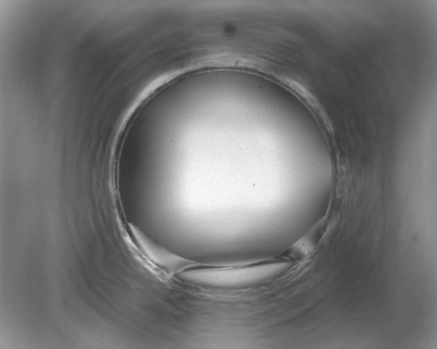 X0000078881342200612111729