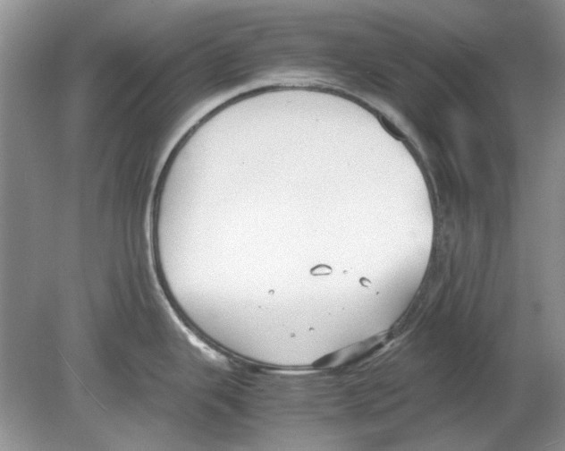 X0000078881343200612111730