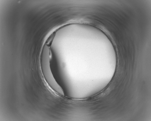 X0000078881344200612111730