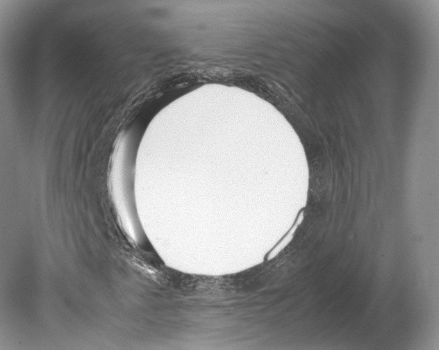 X0000078881345200612111729