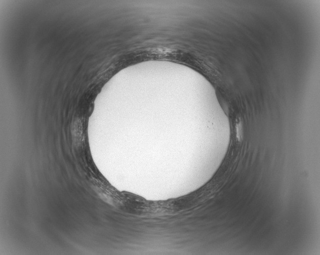 X0000078881347200612111729