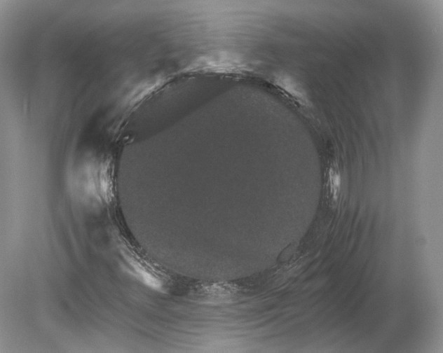 X0000078881348200612111729