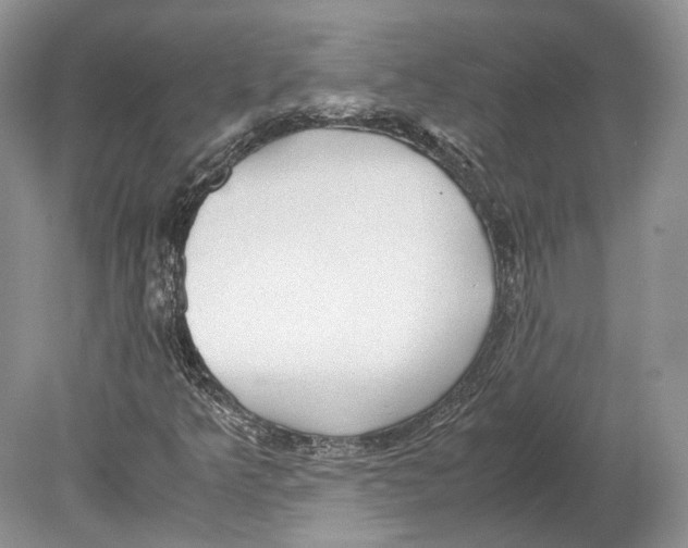 X0000078881349200612111729