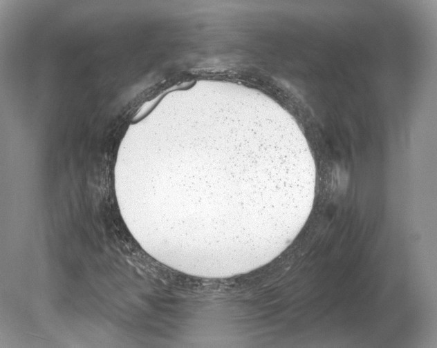 X0000078881350200612111729