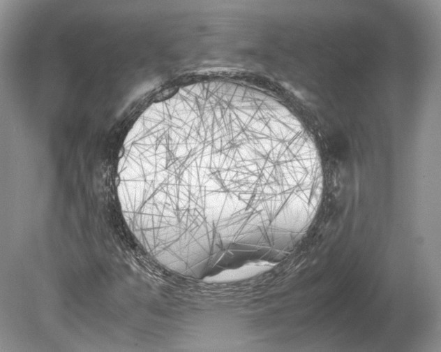 X0000078881351200612111729