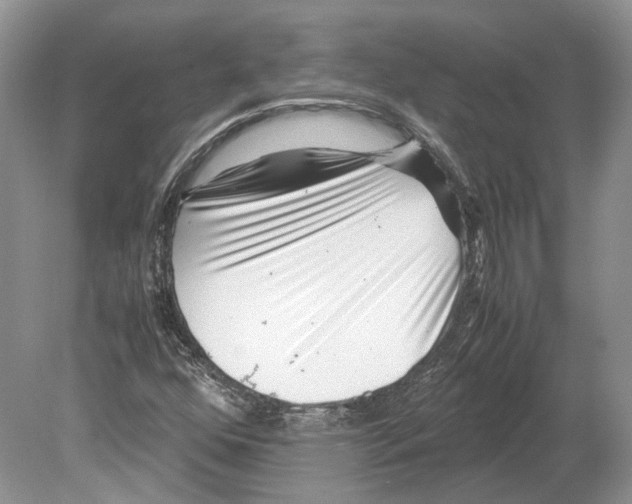 X0000078881352200612111729