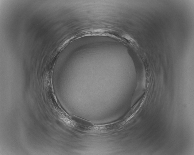 X0000078881353200612111729