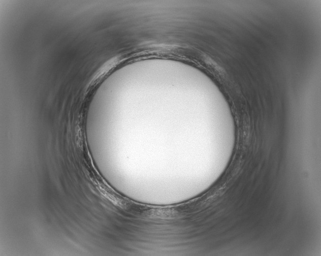 X0000078881354200612111729