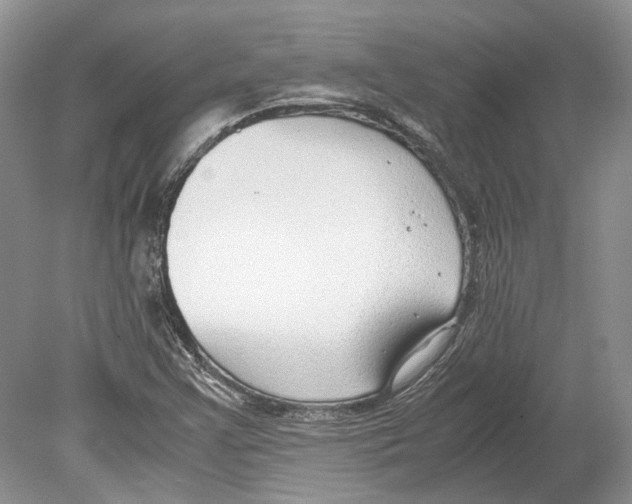 X0000078881355200612111729