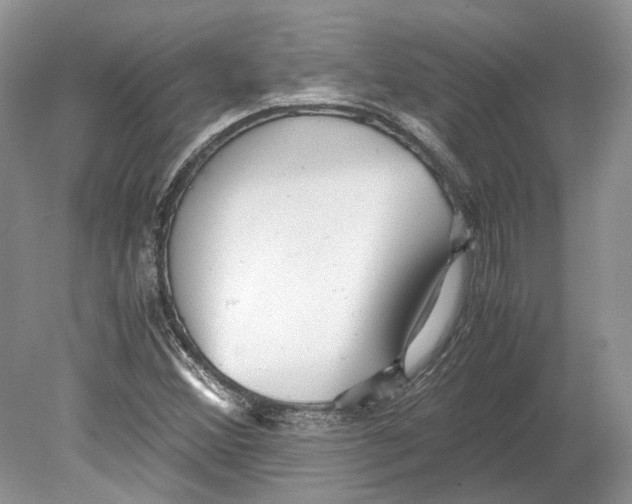 X0000078881356200612111729