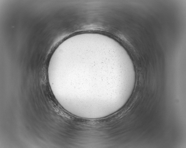 X0000078881358200612111729