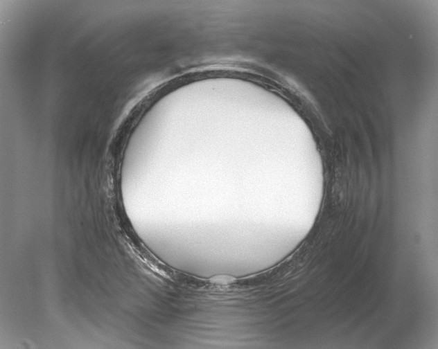 X0000078881360200612111728