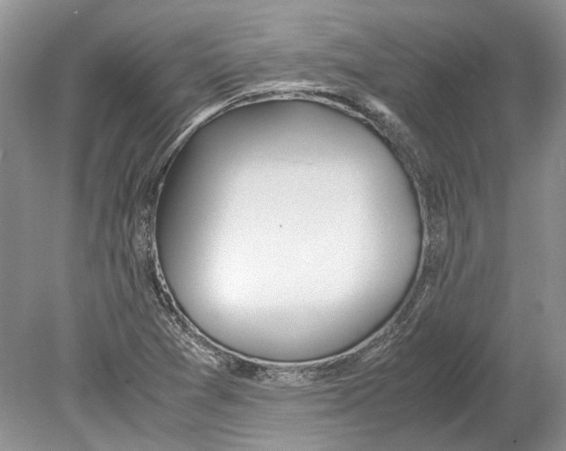 X0000078881361200612111728