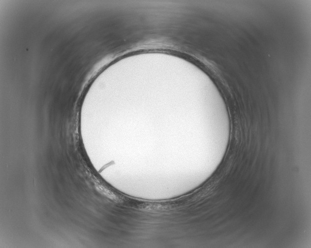 X0000078881366200612111728