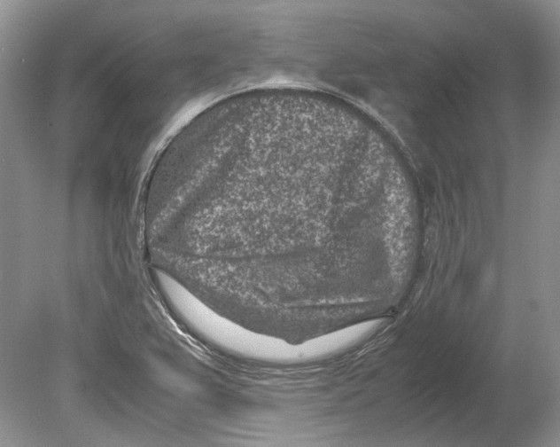 X0000078881367200612111728