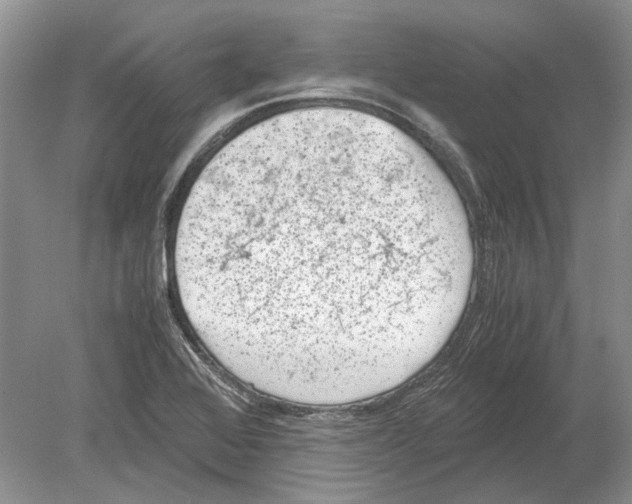 X0000078881368200612111728