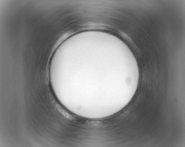 X0000078881370200612111728