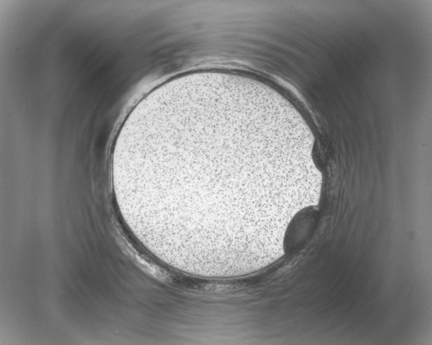 X0000078881371200612111728