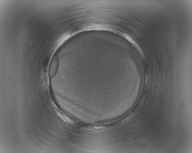 X0000078881372200612111728