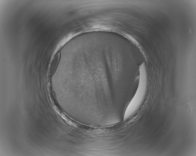 X0000078881373200612111728