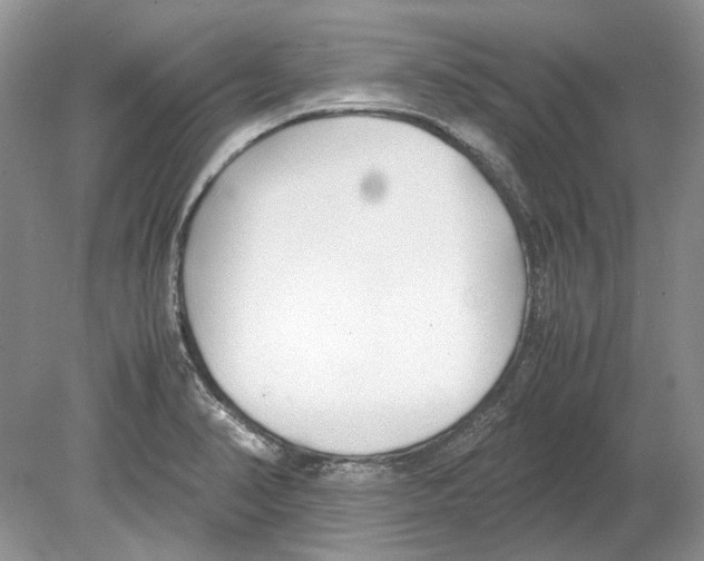 X0000078881374200612111728