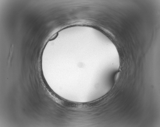 X0000078881375200612111728