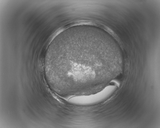 X0000078881377200612111728